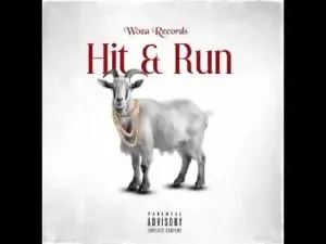 Woza Zakes – Hit & Run Ft Woza Logan Woza Zakes – Hit & Run Ft Woza Logan
