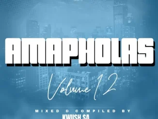 KWiiSH SA - Amapholas Vol. 12 Mix KWiiSH SA – Amapholas Vol. 12 Mix