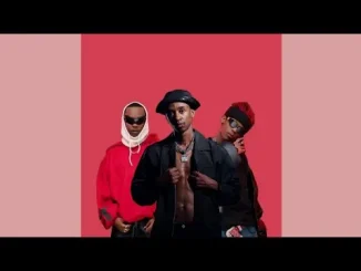 Mellow & Sleazy, Rasca feat. Cowboii & Scotts Maphuma - Izinja Zam Mellow & Sleazy, Rasca Izinja Zam (Official Audio) feat. Cowboii & Scotts Maphuma