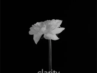 Nutty Nys - Clarity (Taints Remix) Nutty Nys – Clarity (Taints Remix)