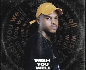 EP: ZIDDO - WISH YOU WELL ZIDDO – WISH YOU WELL