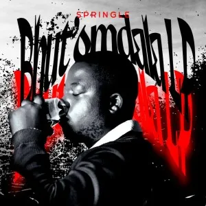 Album: Springle - Bhut’omdala Album: Springle - Bhut’omdala