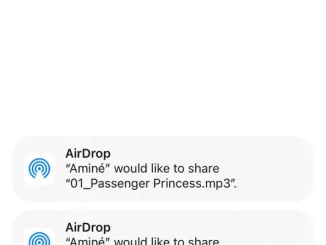 Aminé - Passenger Princess Aminé - Adam