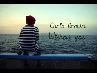 Chris Brown - Without You Chris Brown Without You