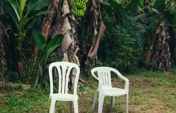 DeBÍ TiRAR MáS FOToS Bad Bunny DeBÍ TiRAR MáS FOToS Bad Bunny