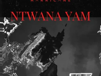 Harricane - Ntwana Yam Harricane Ntwana Yam