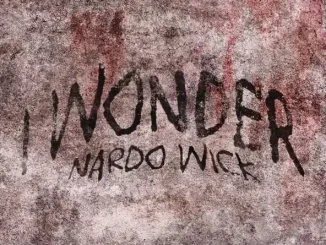 Nardo Wick - I Wonder I Wonder Single Nardo Wick