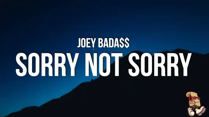 Joey Bada$$ Sorry Not Sorry Joey Bada$$ Sorry Not Sorry