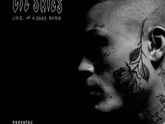 Lil Skies - Nowadays (feat. Landon Cube) Lil Skies Nowadays (feat. Landon Cube)