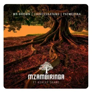 Mr Brown – Mzambiringa ft. LionessRatang, Pat Medina & Ashley Shane Mr Brown – Mzambiringa ft. LionessRatang, Pat Medina & Ashley Shane