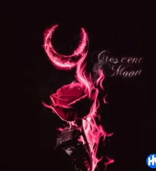 NLE Choppa – CRESCENT MOON NLE Choppa – CRESCENT MOON