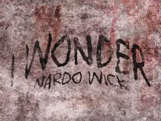 Nardo Wick - I Wonder Nardo Wick I Wonder