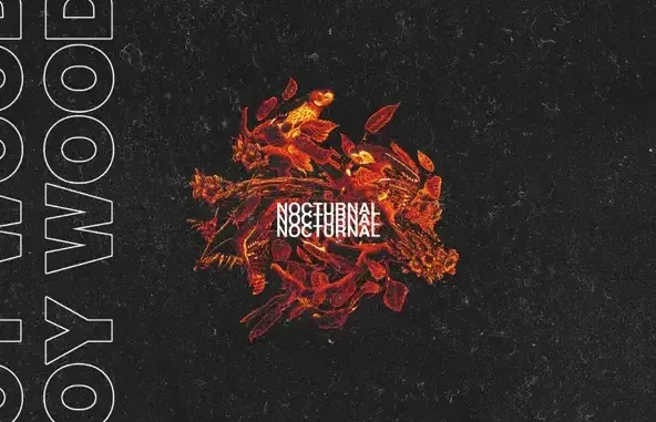 Roy Woods Nocturnal Roy Woods Nocturnal