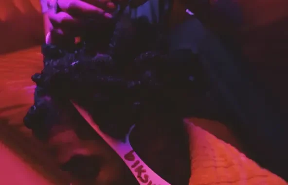 Smino Wild Irish Roses Smino Wild Irish Roses