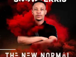 SnowTerris - Masfika (feat. Scotts Maphuma & Czwe De Ancestral) The New Normal SnowTerris