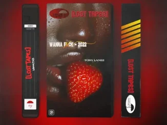 Tory Lanez - Wanna Fxck (Lost Tapes 2022) Tory Lanez Wanna Fxck (Lost Tapes 2022)