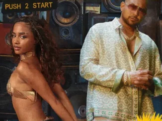 Tyla & Sean Paul - PUSH 2 START (REMIX) Tyla & Sean Paul PUSH 2 START (REMIX)