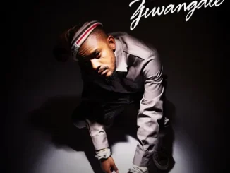 Kabza De Small - Ebusuku (feat. Nkosazana Daughter) Ziwangale EP Kabza De Small