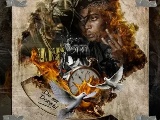 ALBUM: Zoocci Coke Dope & FLVME – Do Not Disturb Zoocci Coke Dope & FLVME Do Not Disturb