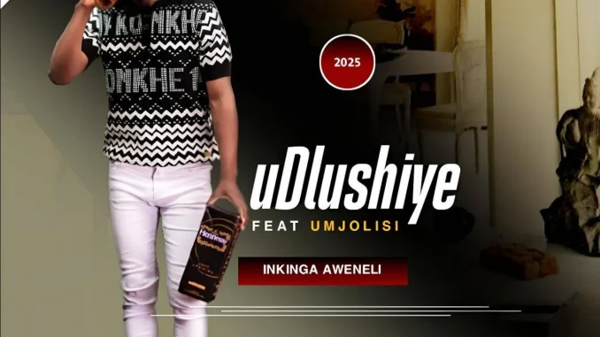 uDlushiye – Inkinga Aweneli ft uMjolisi uDlushiye – Inkinga Aweneli ft uMjolisi
