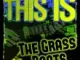 The Grass Roots – This Is the Grass Roots (Rerecorded)