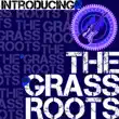 The Grass Roots – Introducing the Grass Roots (Rerecorded) The Grass Roots – Introducing the Grass Roots (Rerecorded)