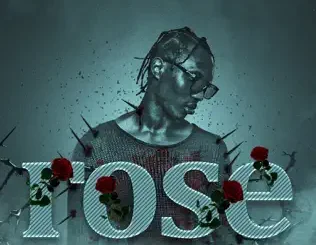 A Q – Rose