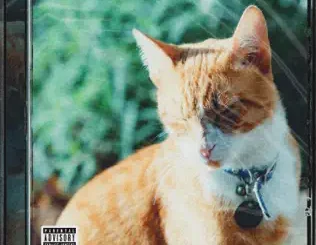 ANDRWMAARS – My Name Is Sir Nacho