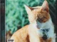 ANDRWMAARS – My Name Is Sir Nacho
