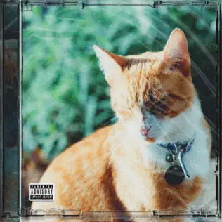 ANDRWMAARS – My Name Is Sir Nacho ANDRWMAARS – My Name Is Sir Nacho