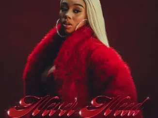 Anycia, GloRilla & KARRAHBOOO - Never Need (feat. GloRilla & KARRAHBOOO) Anycia, GloRilla & KARRAHBOOO Never Need (feat. GloRilla & KARRAHBOOO)