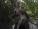 Brennan Jones – Brennan Jones 1