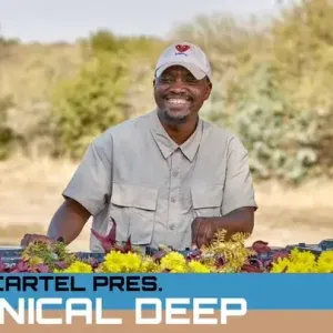Chronical Deep – Bring On The Bass Chronical Deep – Bring On The Bass