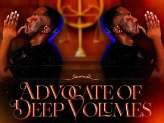Citizen Sthee – Advocate Of Deep Vol 20 Citizen Sthee – Advocate Of Deep Vol 20