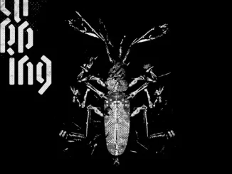 ALBUM: clipping. – Dead Channel Sky Clipping. Dead Channel Sky