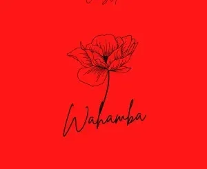 CocoSA ft Sipho Magudulela, Ssips & NeleSA – Wahamba CocoSA – Wahamba ft Sipho Magudulela, Ssips & NeleSA