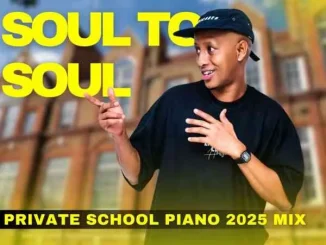 DJ Ace – Soul to Soul (Private School Piano 2025 Mix)