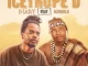Diary – Icetrope’D ft Mzukulu