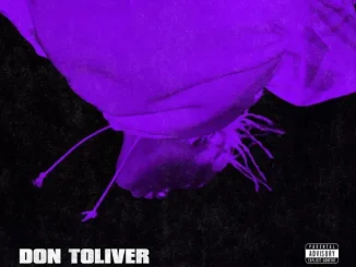Don Toliver – Donny Womack