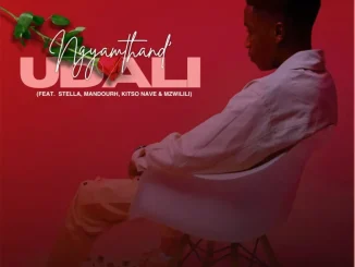 Dr Dope ft Stella, Mandourh, Kitso Nave & Mzwilili – Ngyamthand Udali Dr Dope – Ngyamthand Udali ft Stella, Mandourh, Kitso Nave & Mzwilili