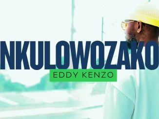 Eddy Kenzo – Nkulowozako Eddy Kenzo – Nkulowozako