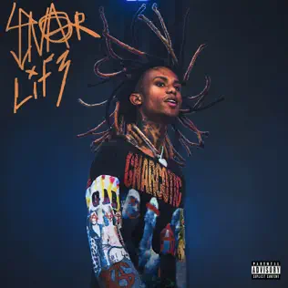 Lil Gnar – GNAR Lif3 Lil Gnar – GNAR Lif3