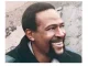 Marvin Gaye – Dream of a Lifetime