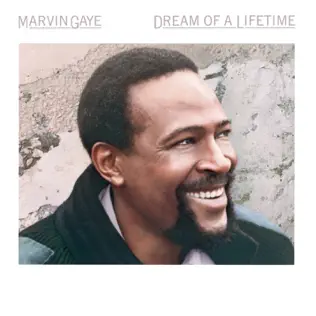 Marvin Gaye – Dream of a Lifetime Marvin Gaye – Dream of a Lifetime