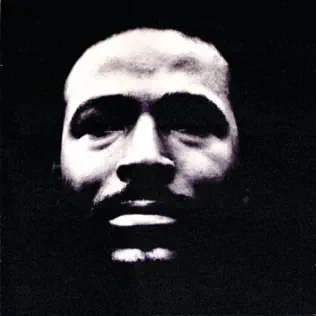 Marvin Gaye – Vulnerable Marvin Gaye – Vulnerable