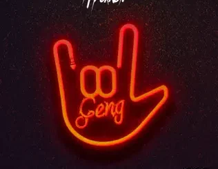Mayorkun – Geng (Remix EP) - EP Mayorkun – Geng (Remix EP)