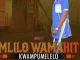 Mlilo Wamahit – Uyahlonishwa Umhlaba