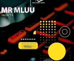 Ep: Mr Mluu - Project X Mr Mluu – Project X