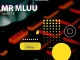 Mr Mluu – Project X