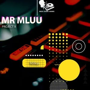 Mr Mluu – Project X Mr Mluu – Project X